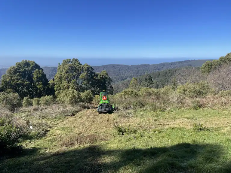 Avant loader clearing thick vegetation and scrub on a Gippsland hillside property