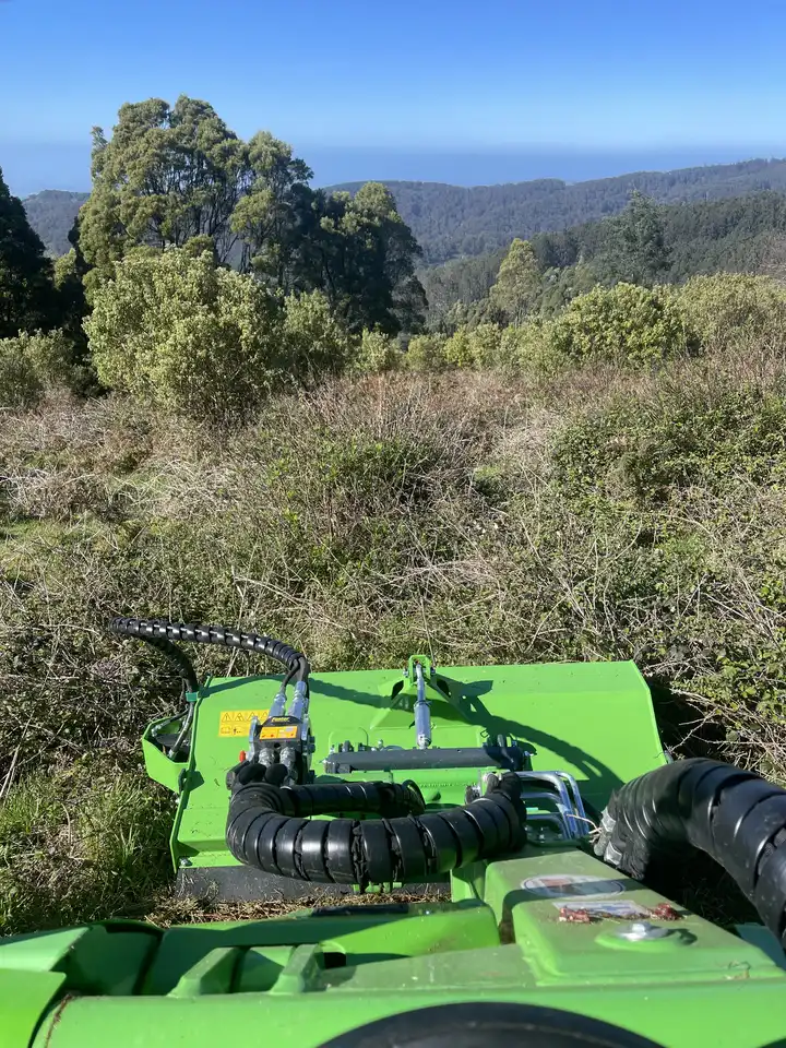 POV of Avant loader flail mower attachment clearing heavy brush on a steep hillside
